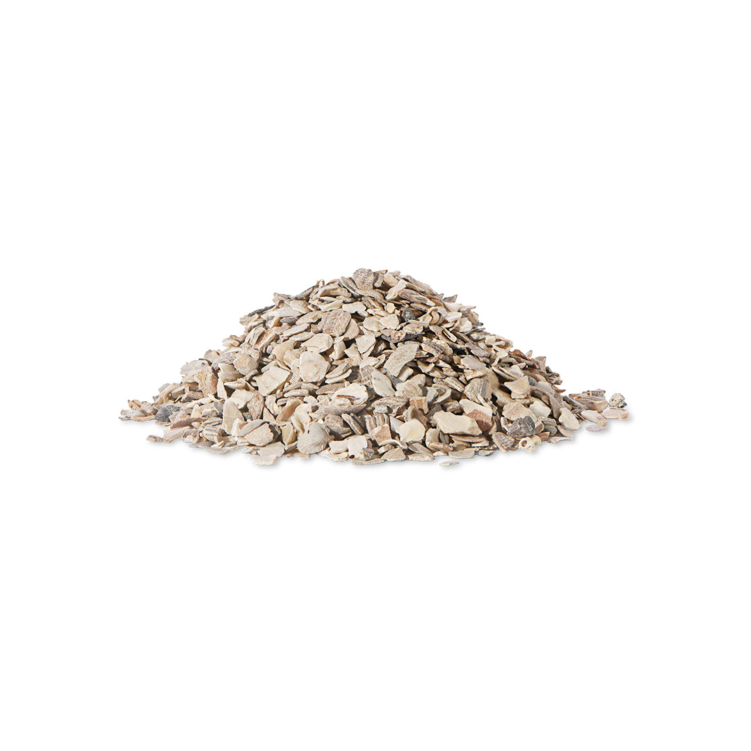 Life Base Oystershell