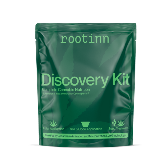 Rootinn Discovery Kit