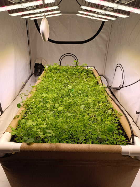 Living Soil Pro Bundle